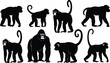 © Creatives Art - Monkey and gorilla silhouette illustration set, wild primate animals poses, jungle wildlife collection, black vector