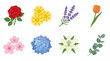 © MDNANNU - Spring flower collection set including rose, daisy, lavender, tulip, cherry blossom, hydrangea, lily, and eucalyptus isolated. Floral botanical illustration for greeting cards and wedding invitations.