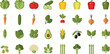 © Mofajjol - Vibrant vegetable icons for healthy eating and nutrition concepts