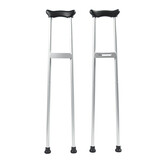 Pair of crustaceans standing upright, possibly on rocks or substrate