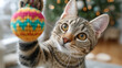 © Sergey - Curious cat playing with colorful holiday ornament in festive setting