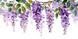 © Shelley - Pastel Watercolor Wisteria Hanging Gracefully on White Background – Serene Botanical Art for Design Projects