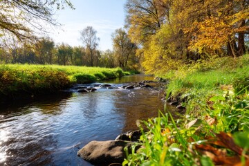  Serene Autumn Landscape with Flowing Water and Earthy Hues Reflections