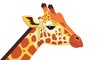 © Nelya - Cartoon giraffe head with spotted fur and distinctive features.
