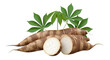 © kirana - Cassava roots and leaves on a white background