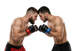 © ArsiStudio - Two shirtless male MMA fighters facing off with intense expressions