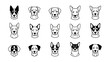 © firman - Dogs faces in a variety.