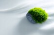 © SuzeO - nature still life, fresh green moss patch and smooth river stone on a white background, with subtle green shadows pure nature vision