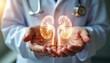 © Viktor - Doctor holds glowing kidneys in hands. Medical pro offers health care and treatment for kidney disease. Represents wellness and urology services for patients seeking help.