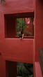 © Krakenimages.com - Woman relaxing at a luxurious tropical resort with vibrant red architecture and lush greenery, embracing the serene atmosphere and enjoying the beauty of the surroundings.