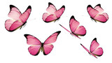 Multiple vibrant pink butterflies flying isolated on white background