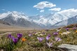 © Anastasiia Kasina - Blooming spring flowers in spring at the background of snow mountains