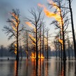 © Sehat - Swamp Inferno - Trees Ablaze in a Watery Landscape.