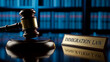 © Creative mind - A gavel and immigration law sign on a desk in a courtroom for the concept of legal justice and immigration.