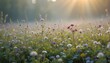 © Tanveer - Wildflowers growing on meadow, morning dew, soft light, peaceful rural nature photography scene fresh mood