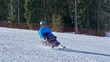 © Alex - A wheelchair user skillfully navigates a slope on a monoski