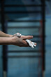 © alan - Close-up of hands applying climbing chalk. Magnesium carbonate powder used to improve grip and reduce moisture during indoor rock climbing and bouldering training.