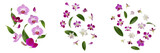 Set and collection of vibrant purple orchid flowers and delicate petals falling in elegant patterns isolated on white transparent PNG background