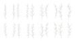 © tr - A collection of delicate white botanical illustrations, featuring various sprigs and branches with small leaves, arranged in rows against a white background.