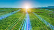 © metamorworks - A band of light running through the grassland - a road leading to the future