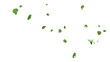 © S_Designs - Flying mint leaves isolated 3D render