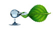 © darshika - Water Drop Connected to Leaf