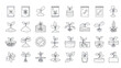 © Sari - Seedling Growth Icons: From Seed to Plant, Plant Life Cycle, Agriculture, Botany Icons