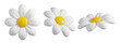 © Hannet - Cute 3D plastic Daisy Flower. Cartoon chamomile bubble bloom with white petals for spring and summer design. 3d render