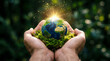 © Creative Sky - Hands Holding Planet Earth with Green Nature and Sunlight for Environmental Protection and Sustainability Concept