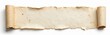 © miss irine - Old paper scroll with torn edges. Blank parchment unfurled, ready for writing or display. Aged texture on antique document, isolated on white backdrop.