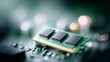 © Anastasia Amraeva - Close-up of a computer RAM module with several black semiconductor chips arranged in a row