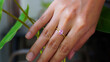 © Khoirul - Woman hand wearing gold ring with pink gemstone on finger with green leaves, elegant jewelry lifestyle and romantic fashion concept