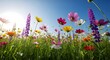 © ali mithu - Vibrant wildflowers in a lush green meadow under a clear blue sky