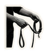 © OMD - Person holding leash and collar paper cutout.