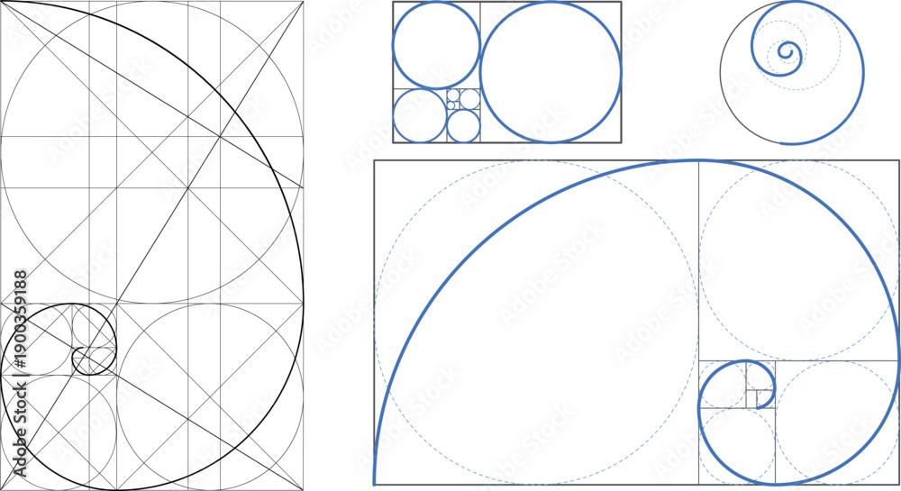 Fibonacci Golden Ratio Spiral Vector with Rectangle Grid Proportion ...