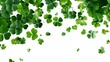 © Ardian - Falling shamrocks, flying green clovers leaves isolated on white panoramic background. St Patrick's day celebration