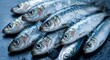 © Natsumae - Pile of fresh raw sardines fish on a dark background
