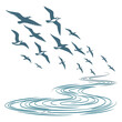© md razab 1122 - Blue sea birds flying over swirling water seagulls