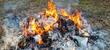 © nahhan - A large outdoor fire burning piles of paper and household waste into ash and smoke on a stone base in a backyard garden