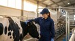 © AspctStyle - Young female dairy farmer petting a beautiful holstein cow in a modern automated barn for livestock health and responsible agriculture concept.