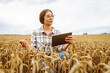 © maxbelchenko - A female agronomist with a digital tablet works in a golden wheat field. A farmer checks the quality of the crop with a tablet in a field. Farming concept: a bountiful harvest.