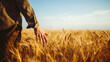 © maxbelchenko - A man stands in a field of ripe wheat. He gently runs his hand along the stalks. The sun is shining, the sky is clear. This captures the essence of harvest season.
