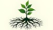 © er - Simplified schematic diagram of single plant green seedlings with dense roots and white background