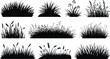 © insta_photo - Collection of black silhouette grass and plants nature elements for design isolated on white background
