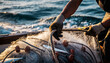 © Salman - Fisherman hauling fishing net on boat in the ocean during sunrise