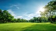 © backup_studio - Lush green lawn and trees in a park on a sunny day. Beautiful outdoor landscape for environmental concept and nature background.
