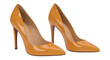 © Paul Anik - Fashionable pair of elegant women's high heel shoes in black and beige style PNG.