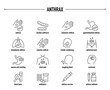 © missbobbit - Anthrax symptoms, diagnostic and treatment vector icon set. Line editable medical icons.