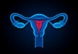 © Rayhan - Detailed anatomical illustration of female reproductive system focusing on uterus and fallopian tubes