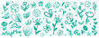 © Elena Marukhina - Flower brush hand drawn vector set. Hand drawn doodle flower, floral leaf elements in brush stroke ink style. Simple abstract botanical silhouette set for nature black paint art. Vector illustration
